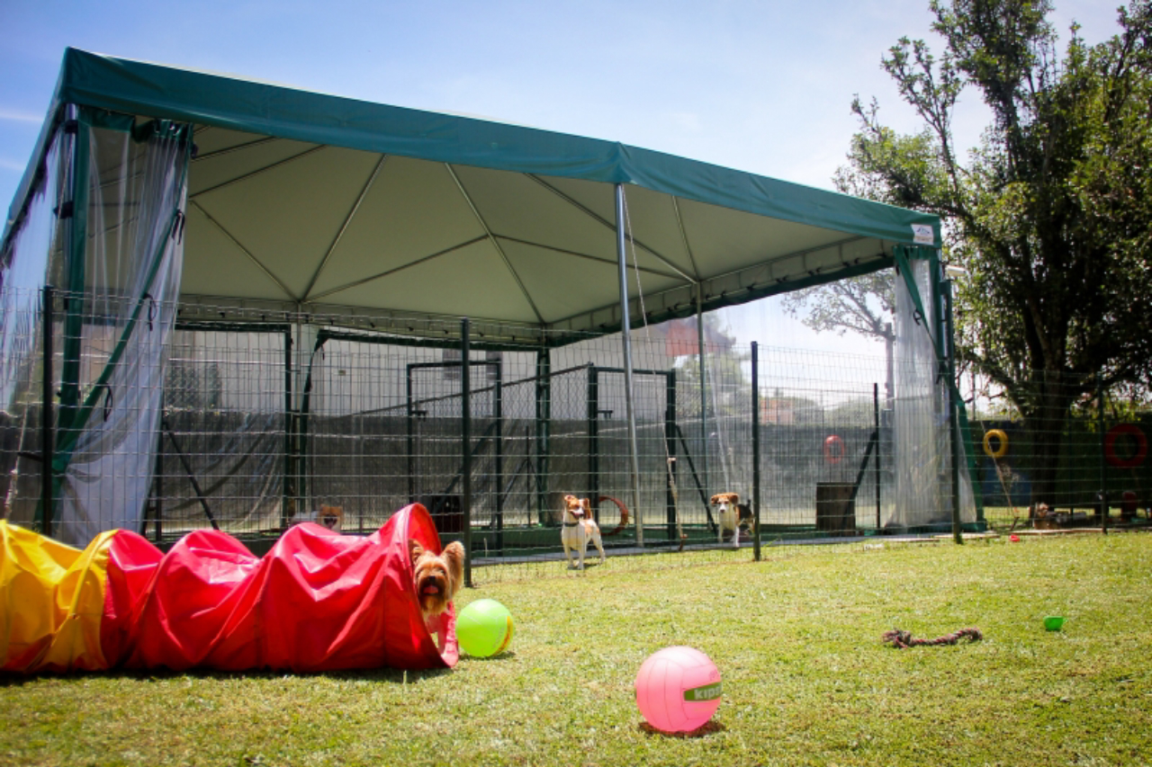 Foto: André Rodrigues/Gazeta do Povo