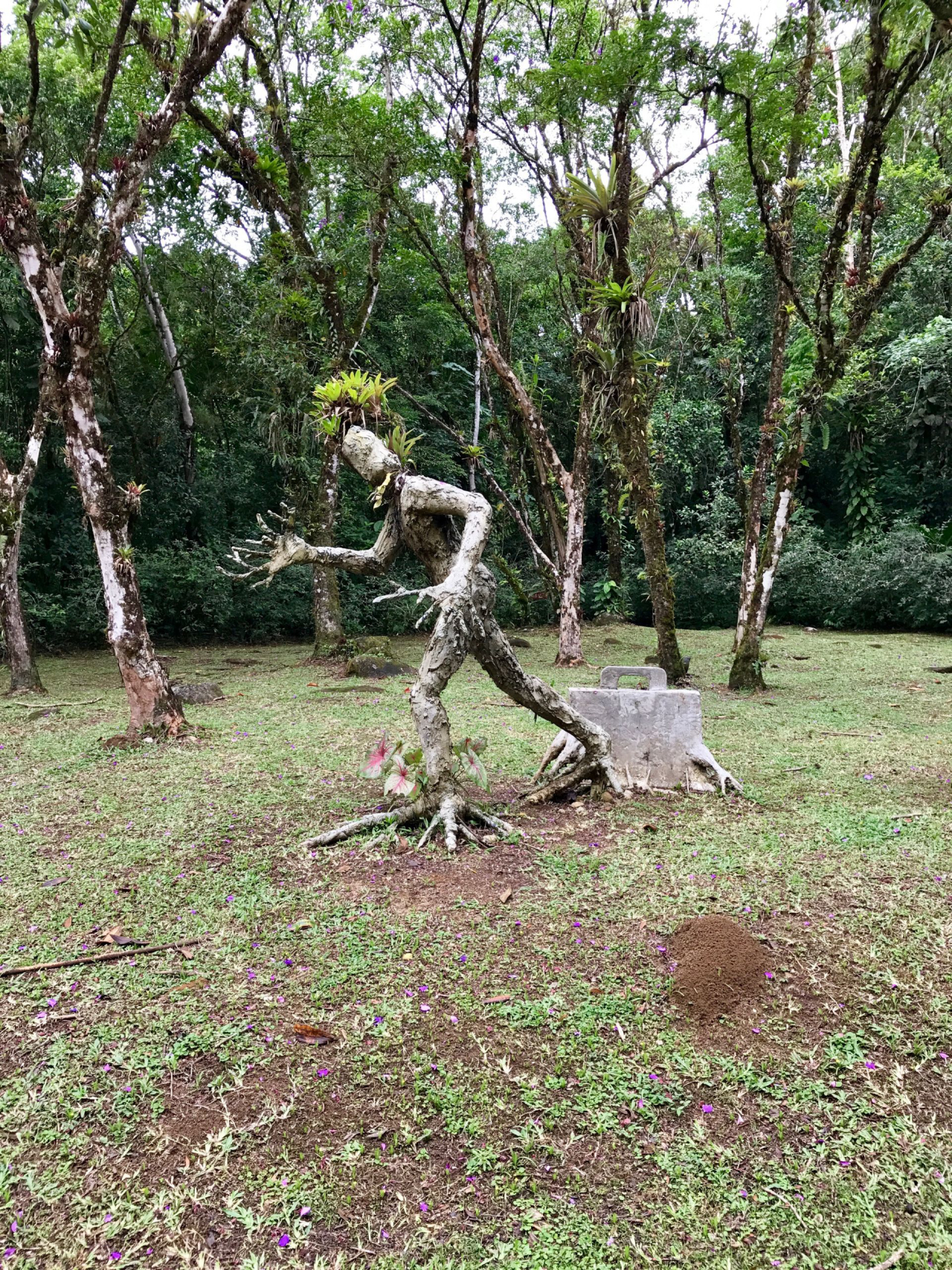 A obra "homem freado pela natureza", uma das intervenções expostas no parque. Foto: Guilherme Grandi/Gazeta do Povo.