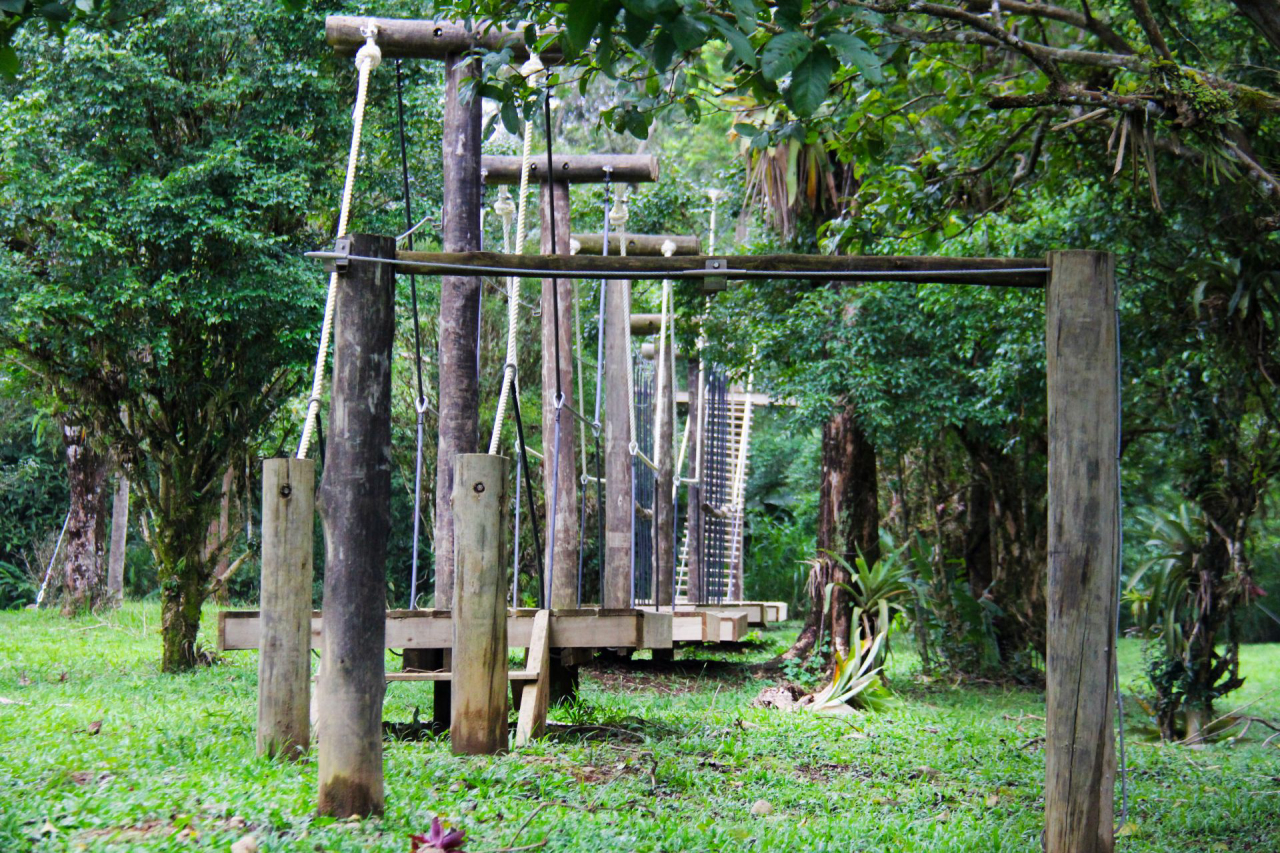 O circuito do Morro da Aventura começa com o arvorismo. Foto: Divulgação.
