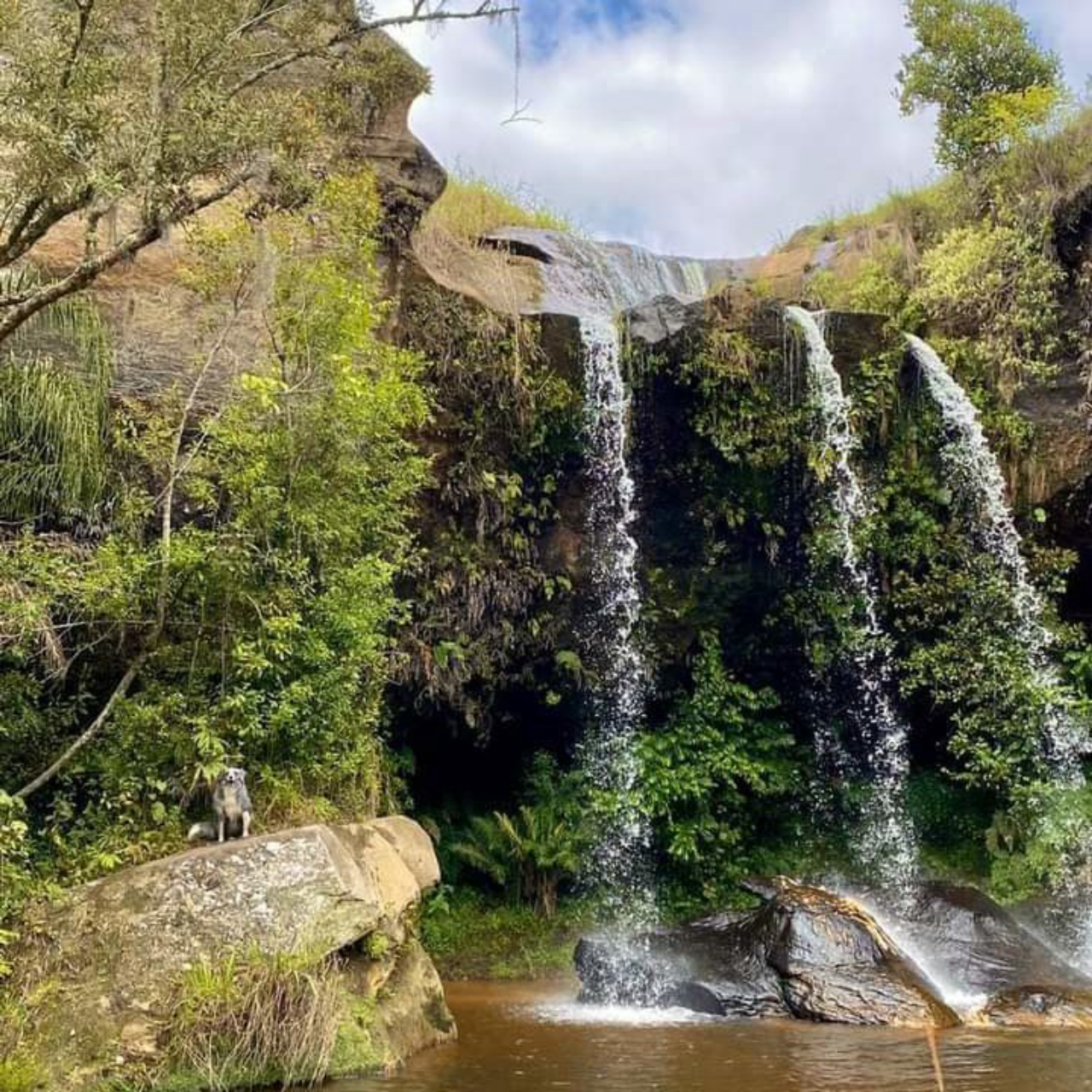 Cachoeira do Alemão